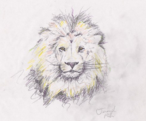 lion